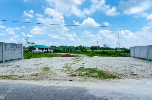 Mermaidgreencity (17)