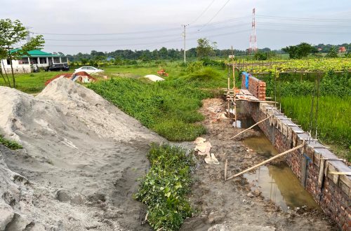 Mermaidgreencity (3)