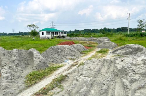 Mermaidgreencity-(5)