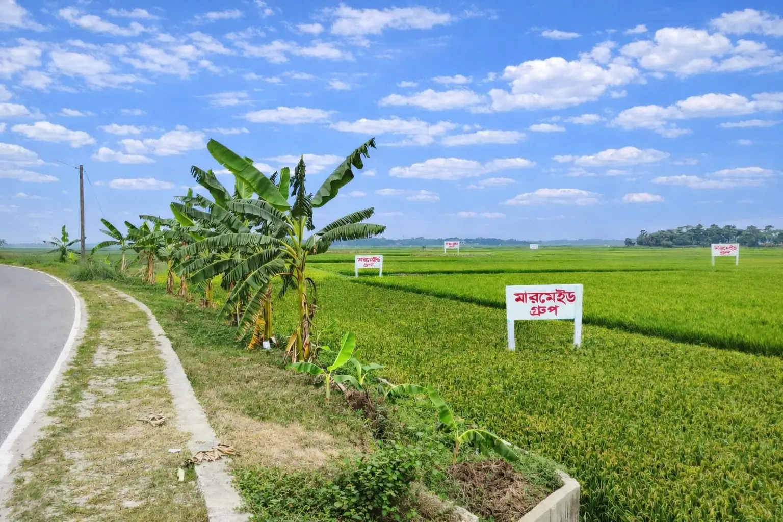 Roadside view of Mermaid Green City project block with green fields and project boards