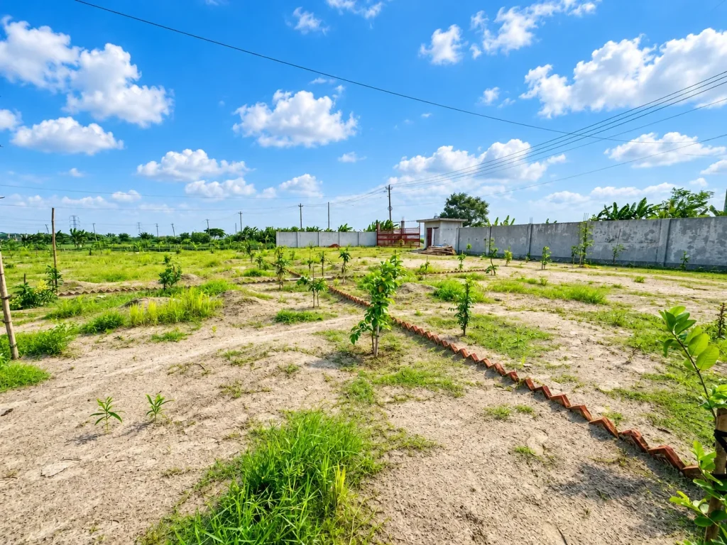 Plot land with young trees and perimeter wall at Mermaid Green City