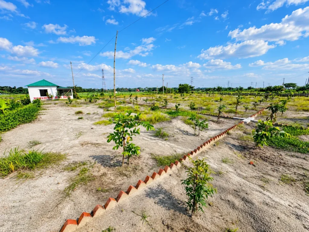 Ready plot area at Mermaid Green City with planted trees and site office