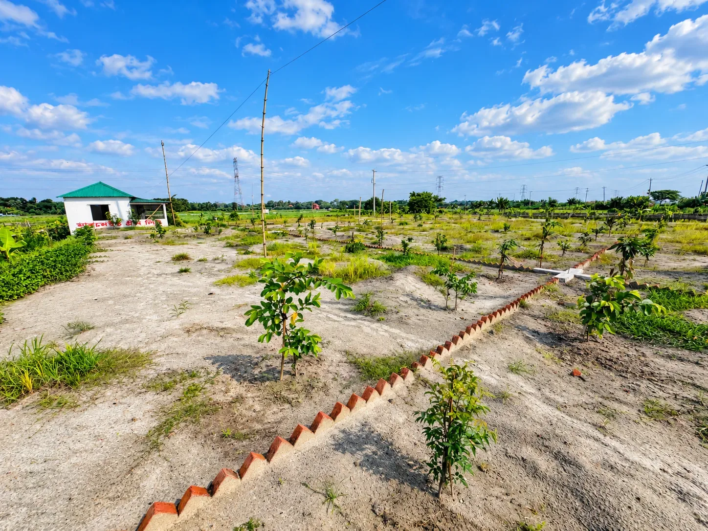 Ready plot area at Mermaid Green City with planted trees and site office